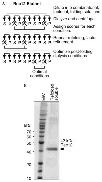 Fig. 5