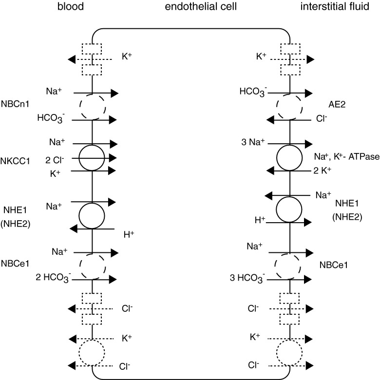 Fig. 8