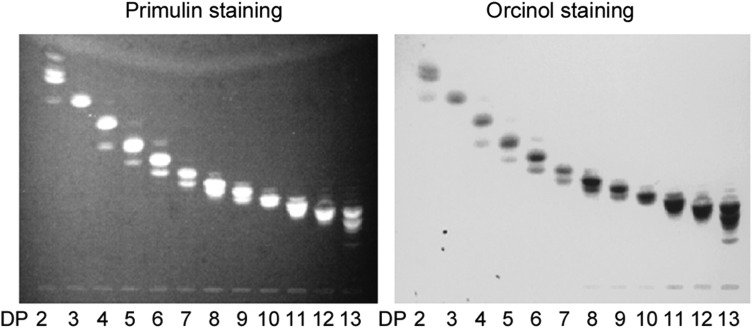 Fig. 7.