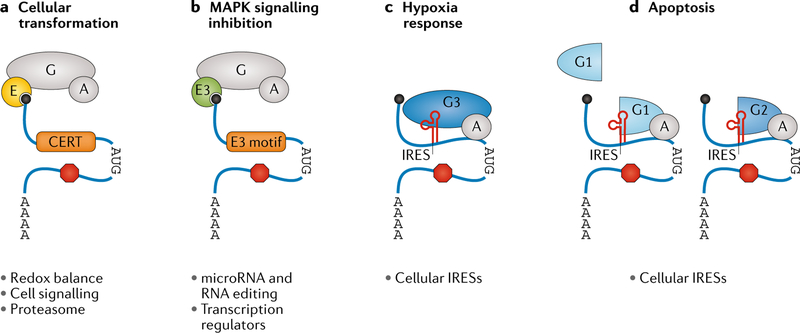 Fig. 4 |