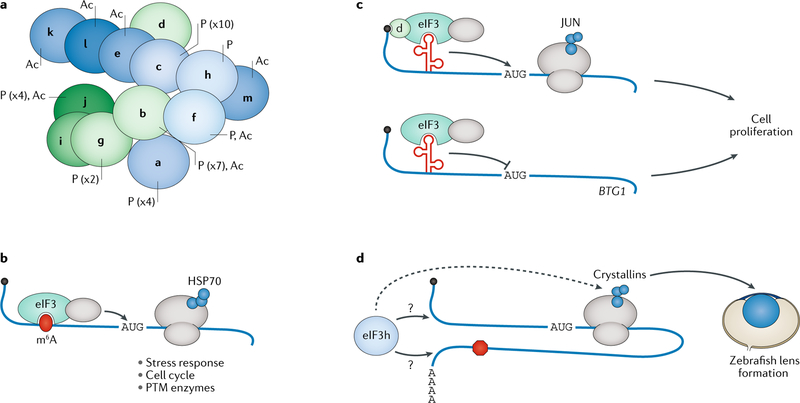 Fig. 3 |