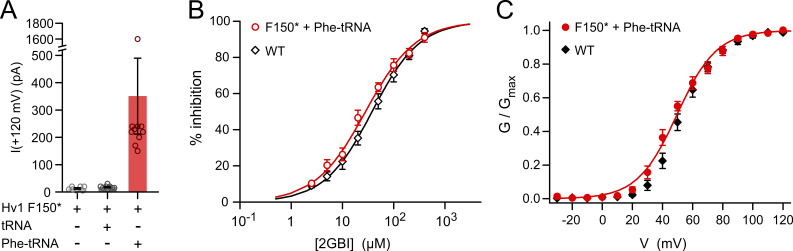 Figure S1.