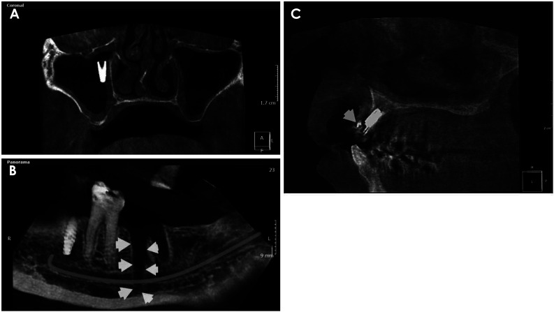 Fig. 5