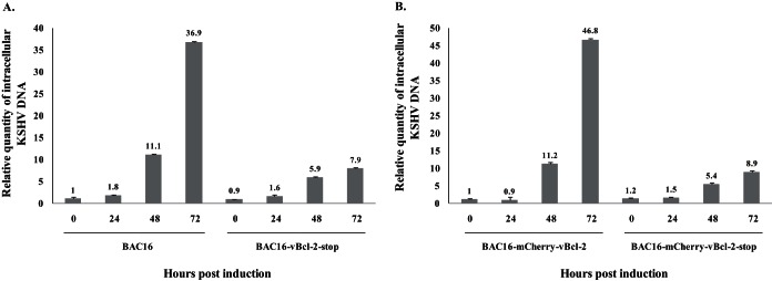 FIG 6