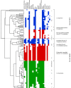 FIG. 2.