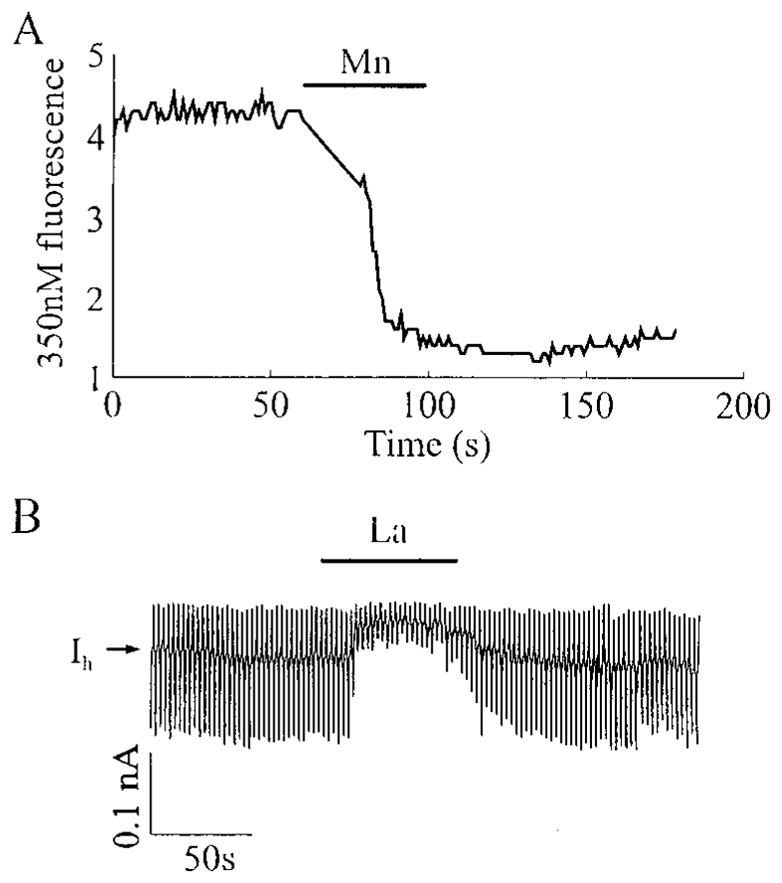 Fig. 5