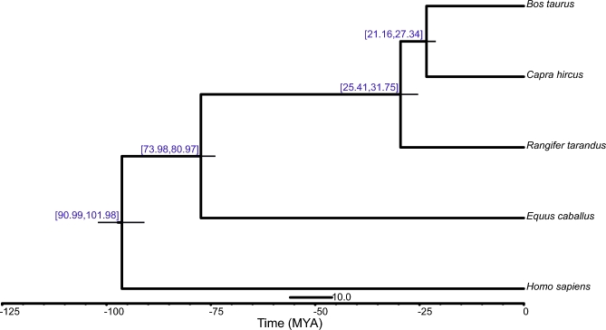 Figure 2: