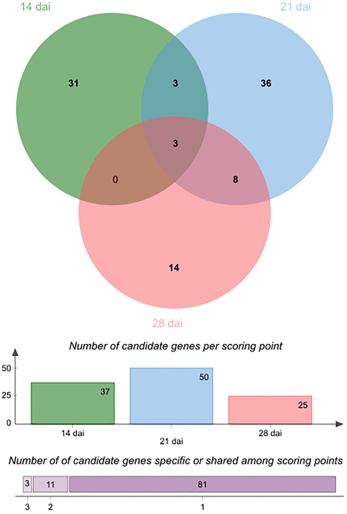 Figure 5