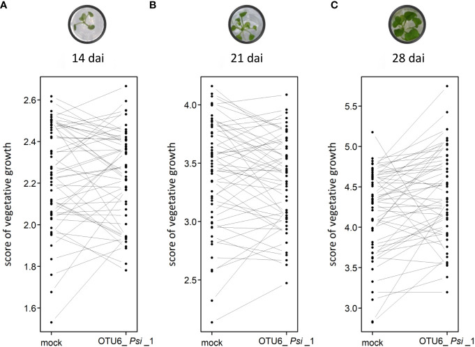 Figure 2