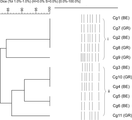 FIG. 2.