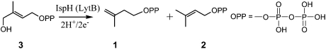 graphic file with name pnas.0911087107fig7.jpg