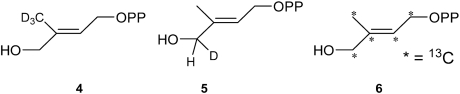 graphic file with name pnas.0911087107fig8.jpg