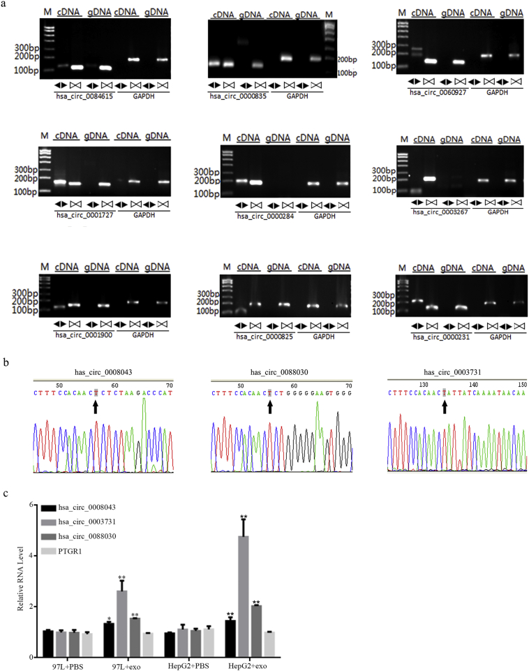 Supplementary Fig. 2