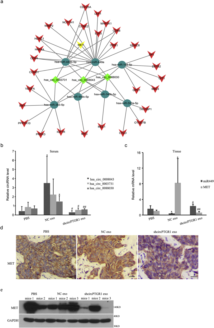 Supplementary Fig. 4