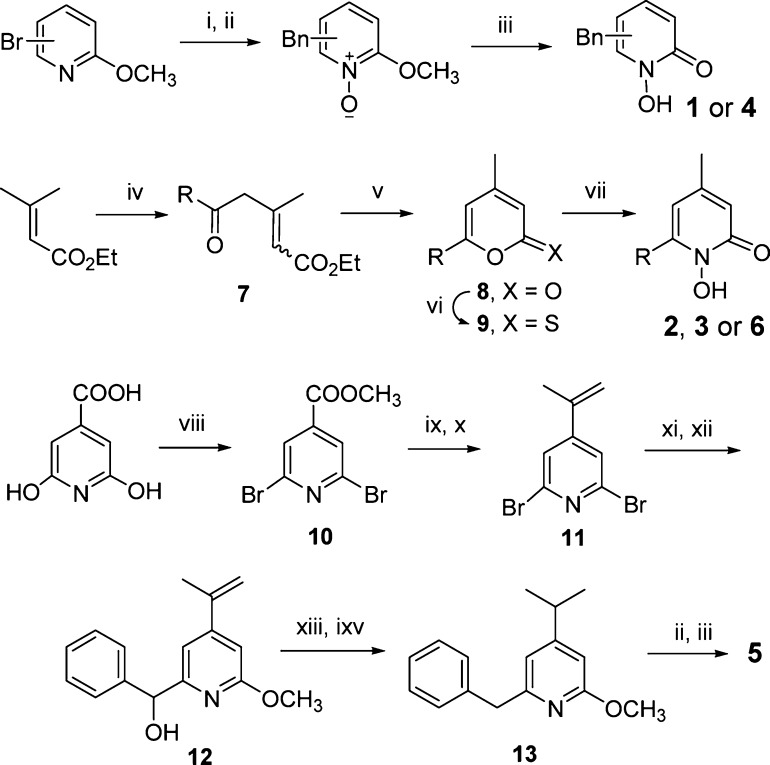 Scheme 1