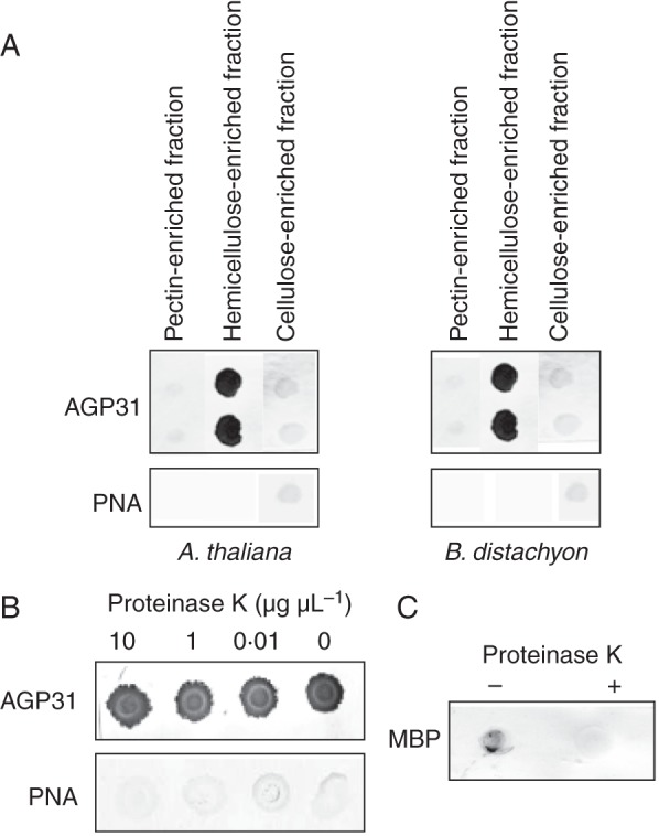 Fig. 1.