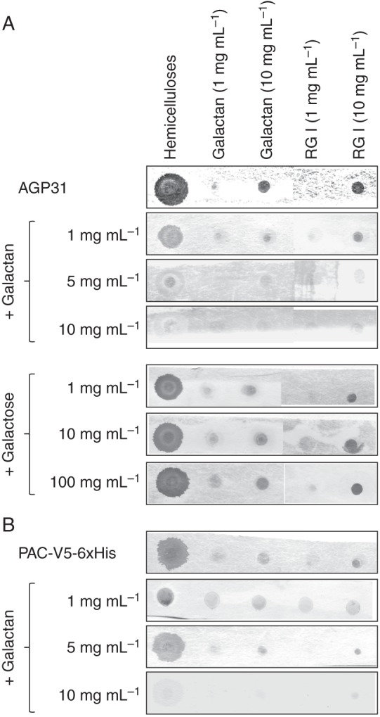 Fig. 5.