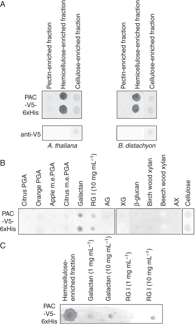 Fig. 4.