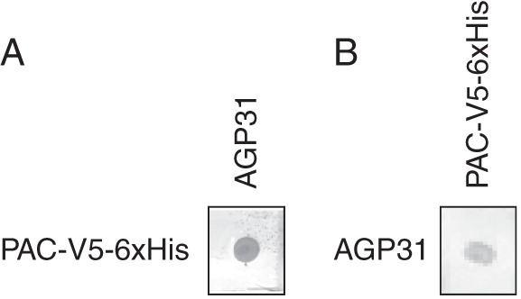 Fig. 6.