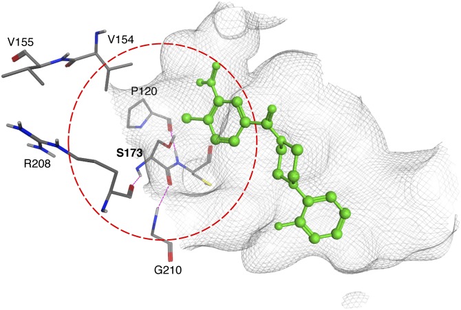 Fig. 7.