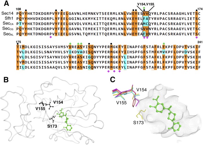 Fig. 4.