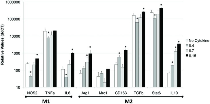 FIGURE 4