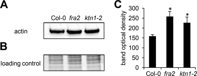 Fig. 9.