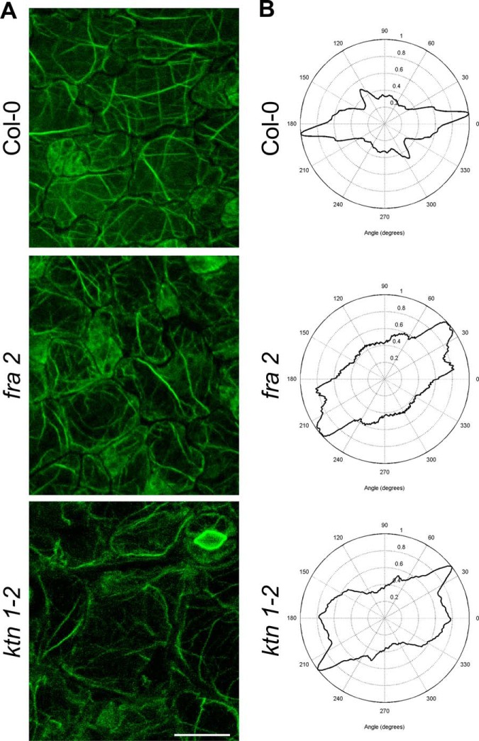 Fig. 10.