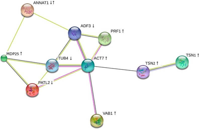 Fig. 4.