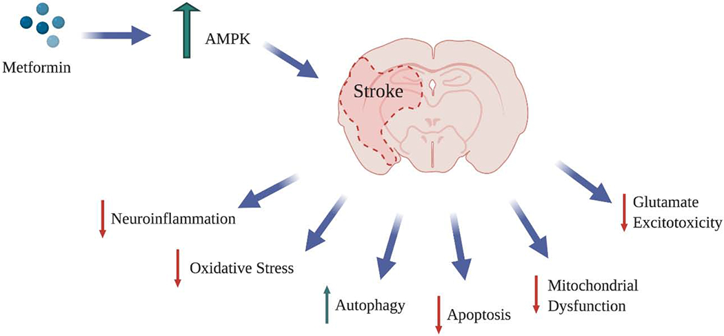 Figure 3: