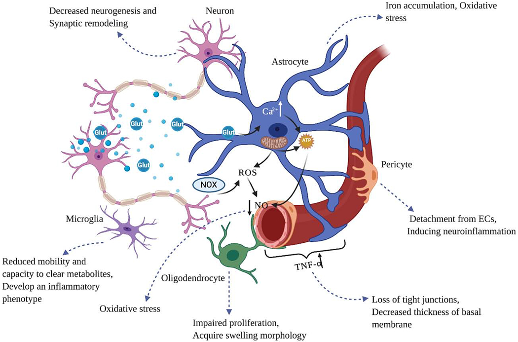 Figure 2: