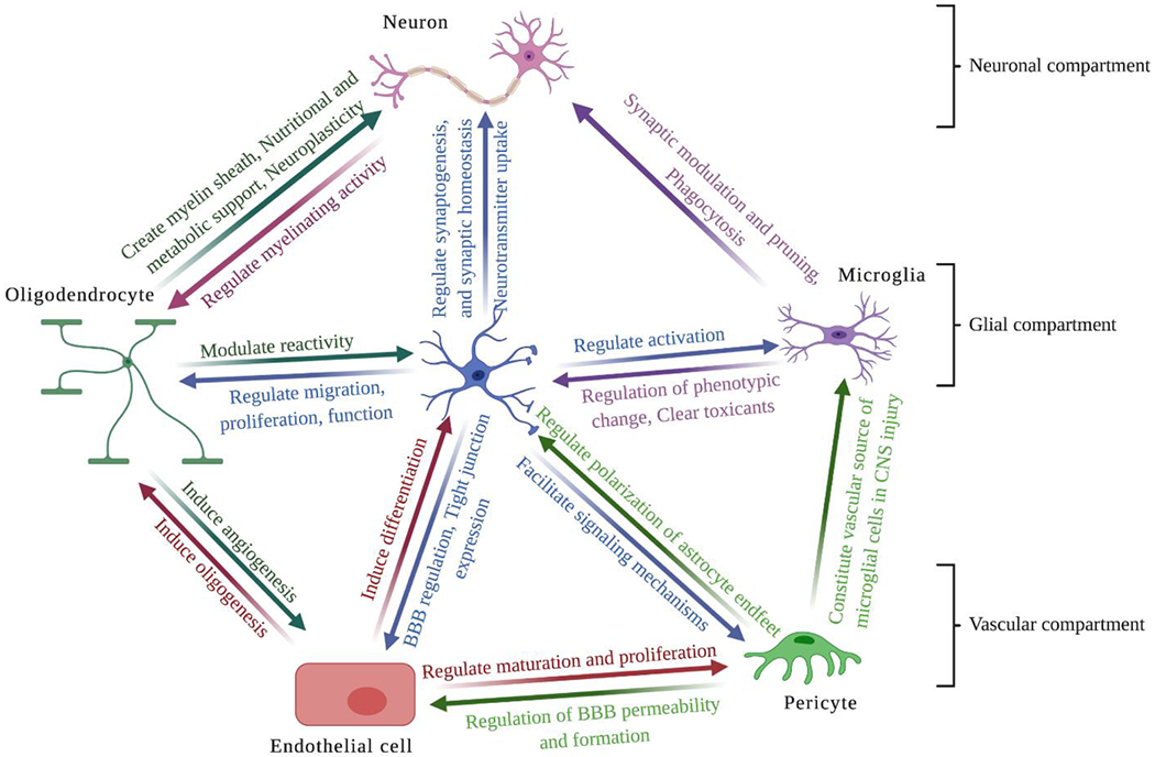 Figure 1: