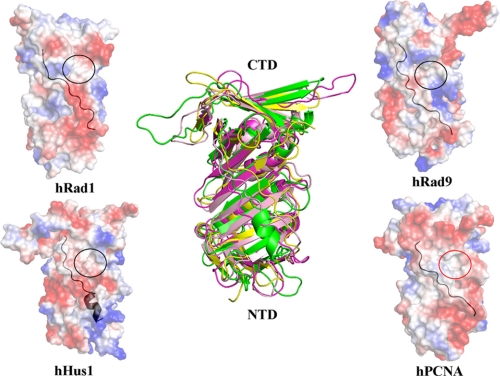 FIGURE 2.