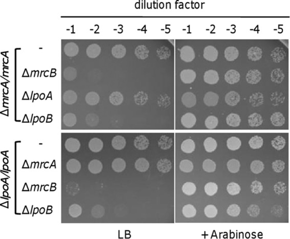 FIG 3