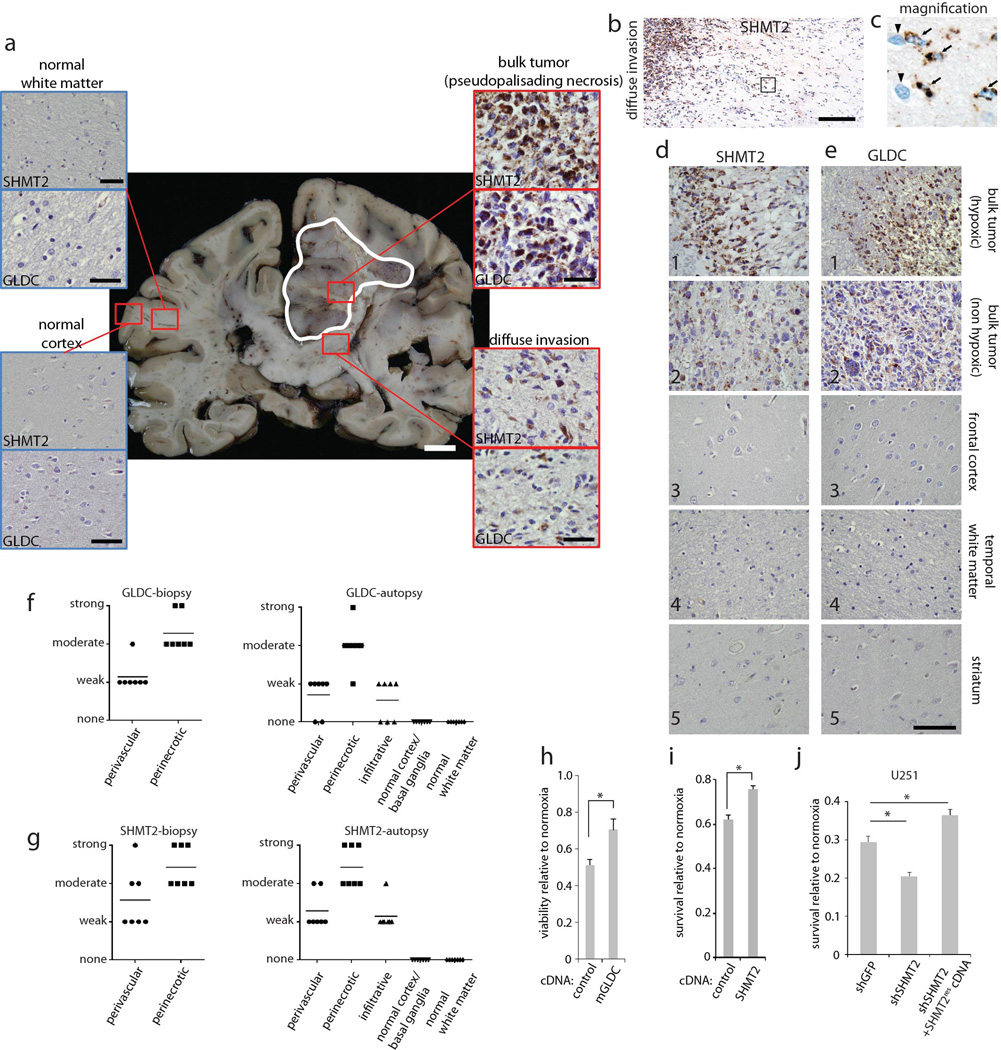 Extended Data Figure 4