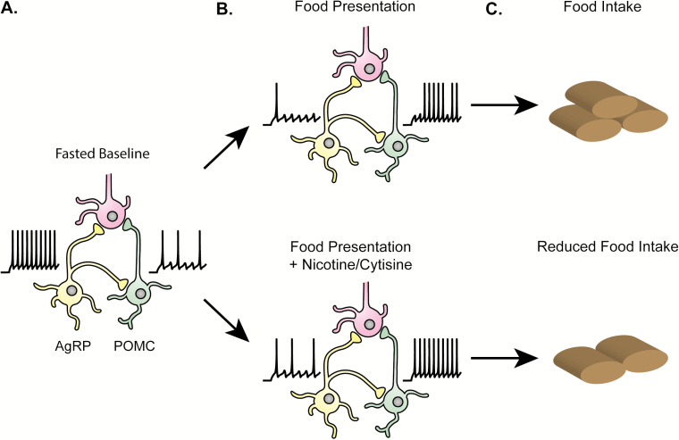 Figure 3.
