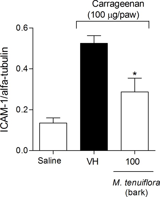 Fig 10