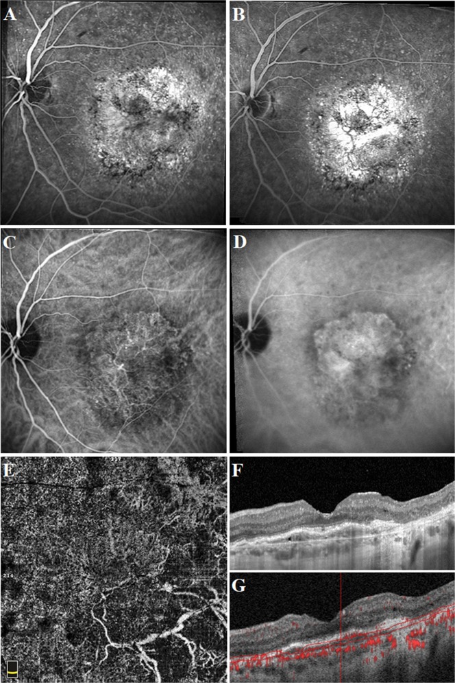 Fig. 3