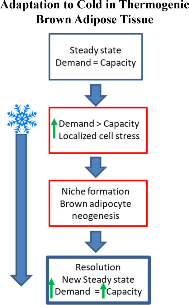 Figure 10.