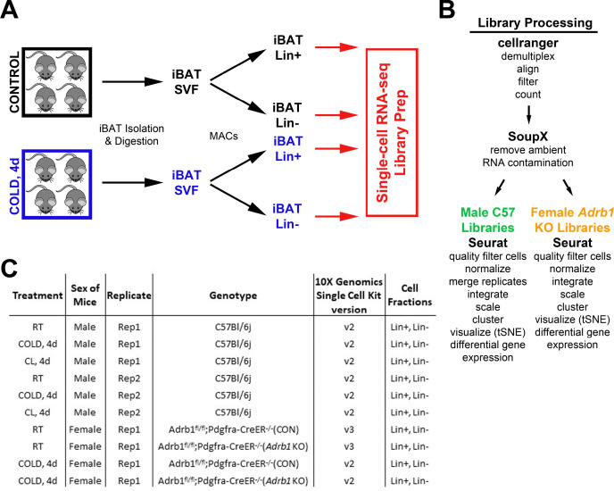 Figure 2—figure supplement 1.