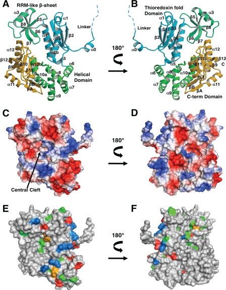 FIGURE 1.