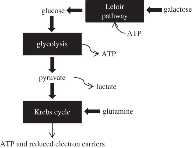 Figure 5.