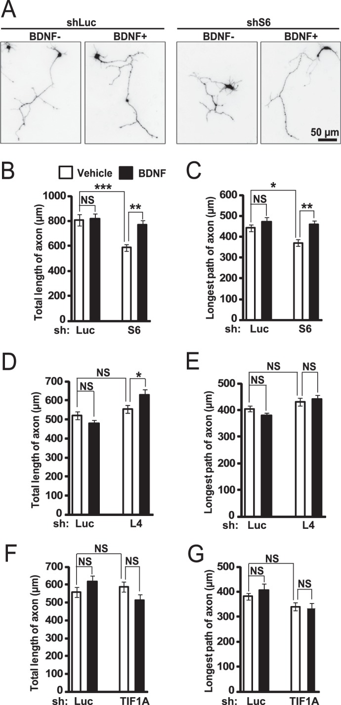 FIGURE 10.