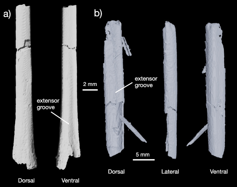 Fig. 4