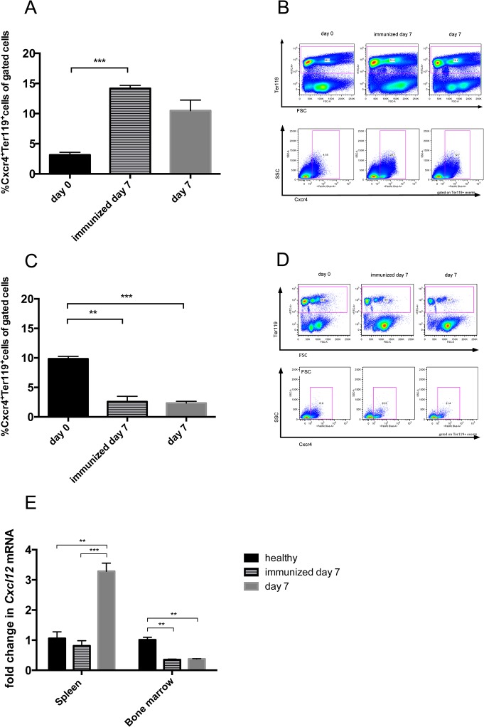 Fig 10