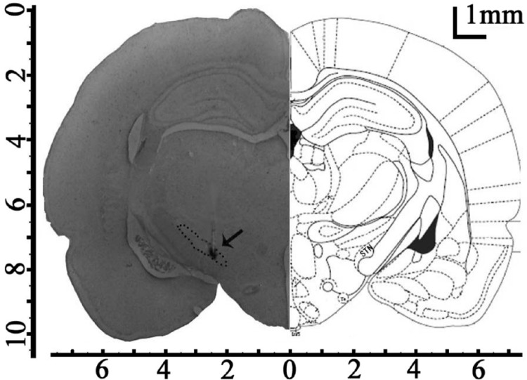 FIG. 3