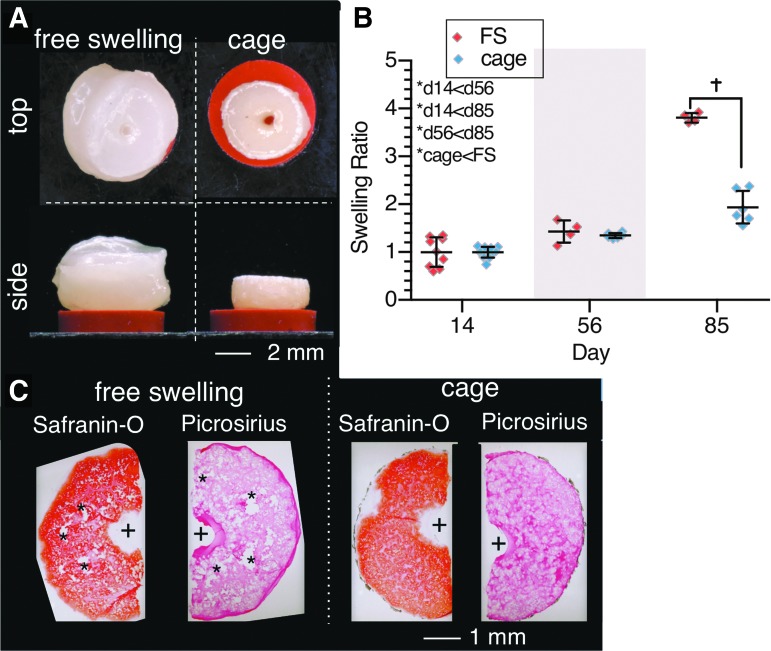 FIG. 4.