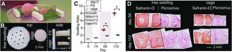 FIG. 2.