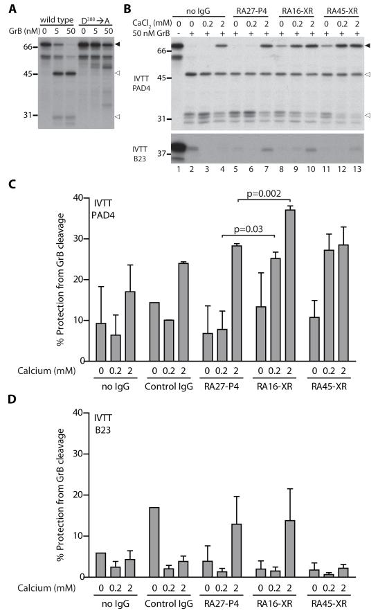 Figure. 5