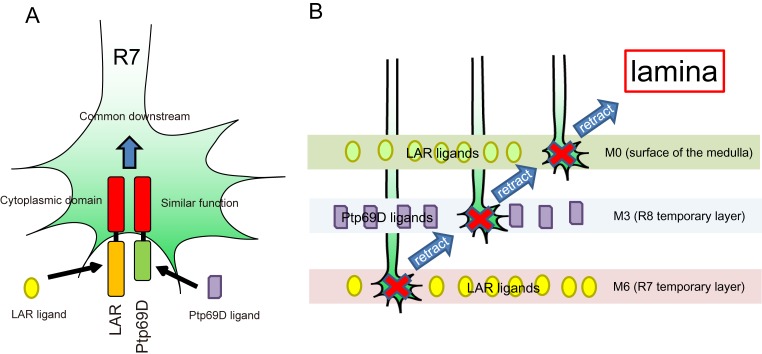 Figure 9.